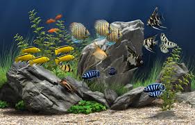 Dream Aquarium Screensaver 1.29 Final Full Crack Dream Aquarium Screensaver Activation Code For Free