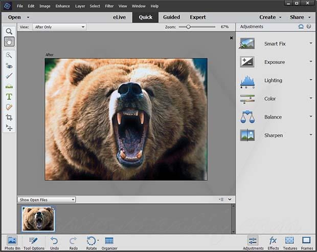 Adobe Photoshop Elements 2018 Licence key Full Version