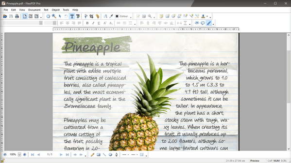 FlexiPDF 2019 Professional 2.0.7 Full Crack FlexiPDF 2019 Registration key full Version