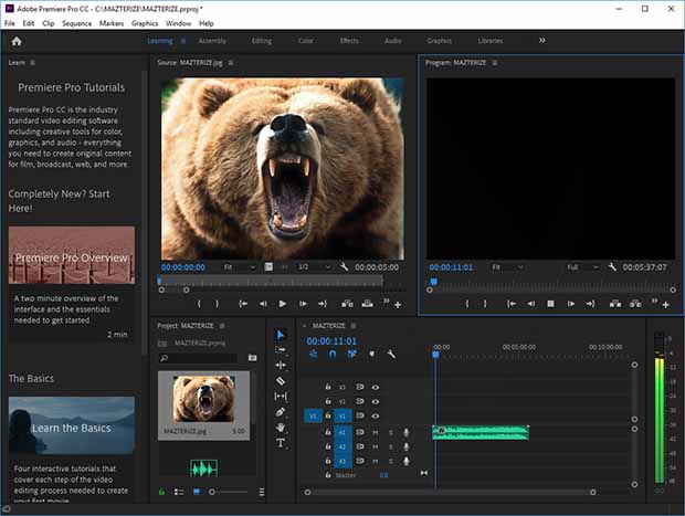 Adobe Premiere Pro Crack License Key Download