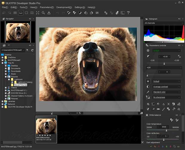SILKYPIX Developer Studio Pro 10.0.14.0 Full Crack SILKYPIX Developer Studio Pro 10 Crack Full Version