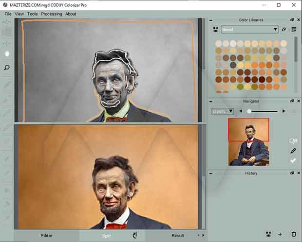 CODIJY Colorizer Pro key