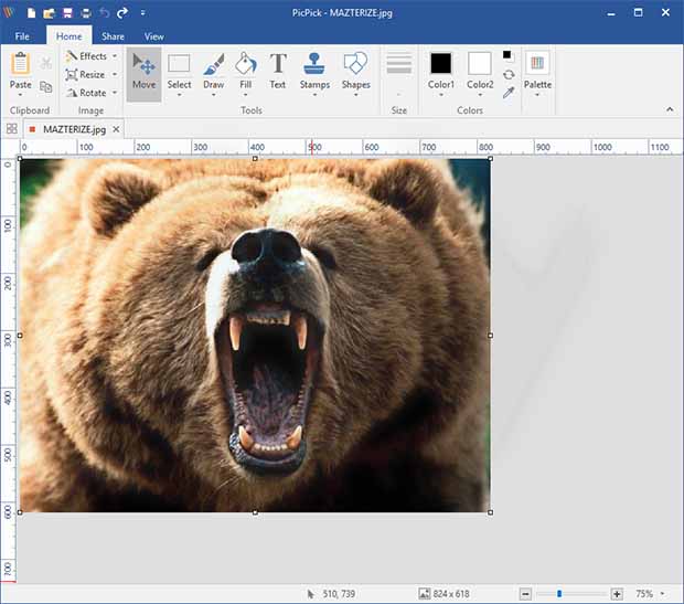 PicPick Professional key