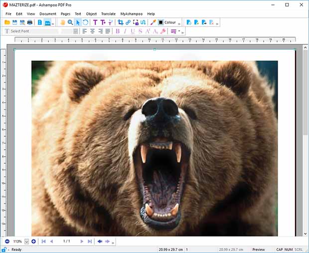 Ashampoo PDF Pro Key