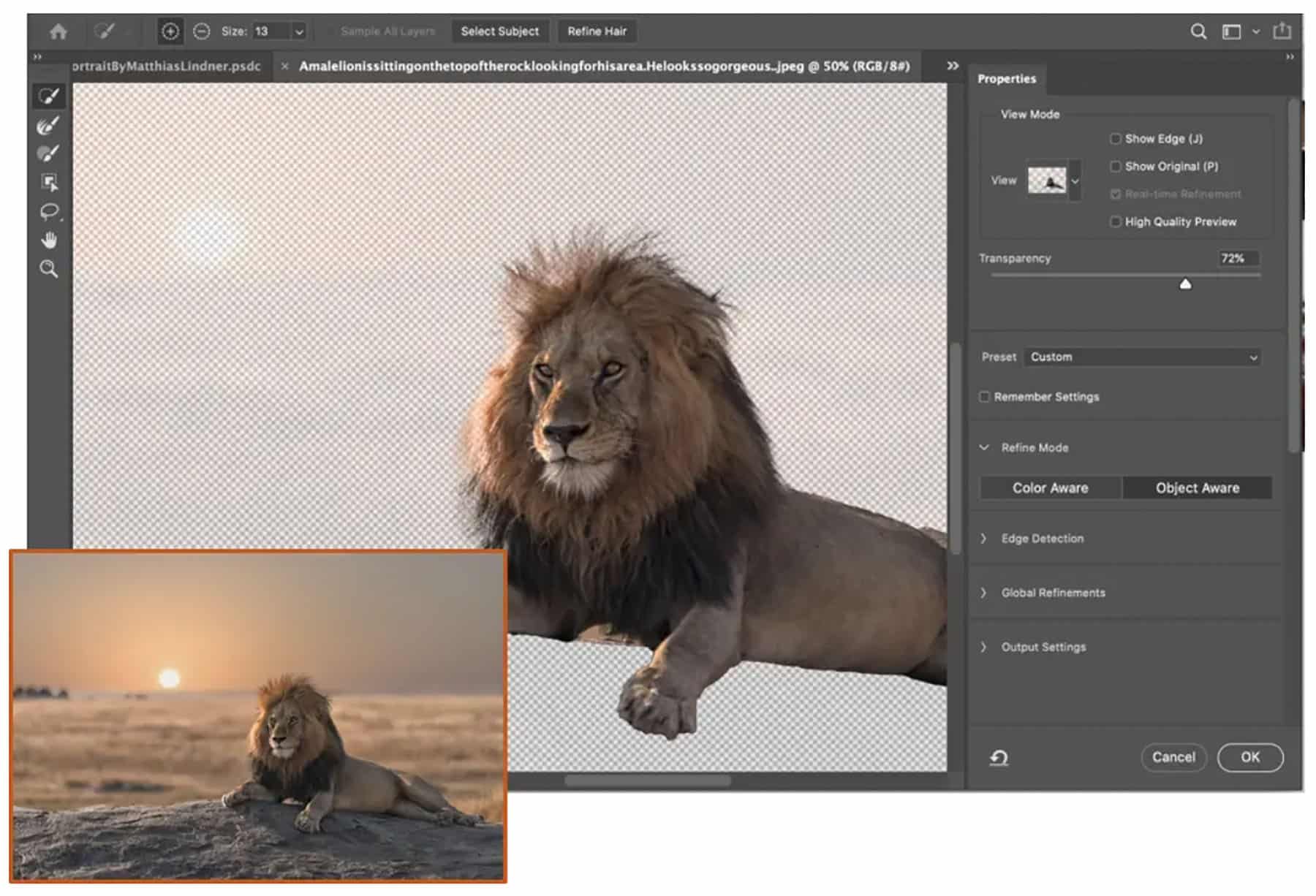 Adobe Photoshop 2021 22.5.1.441 Free Full Activated Adobe Photoshop 2021 22.5.1.441 Free Full Activated