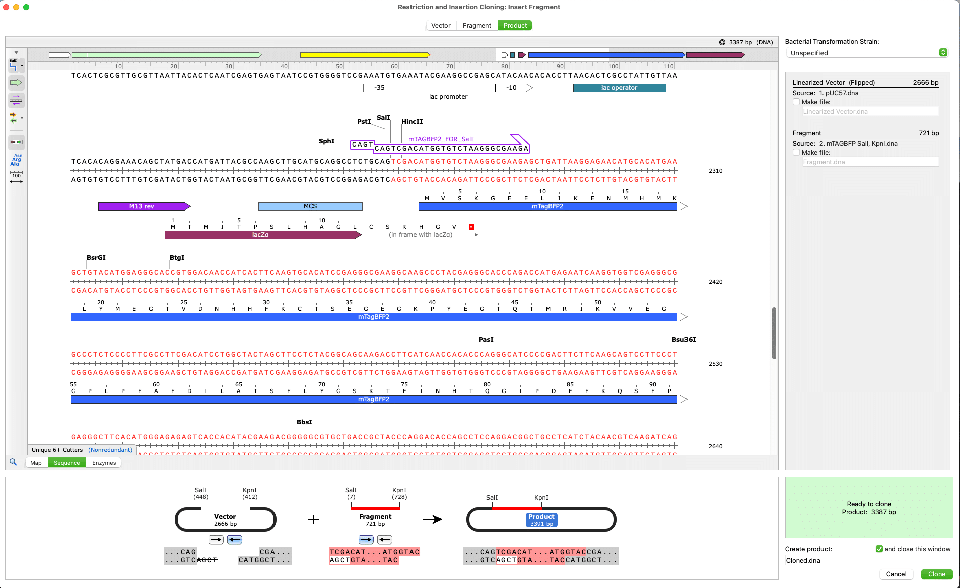 Snapgene Download Snapgene Download