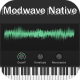 KORG Modwave Native