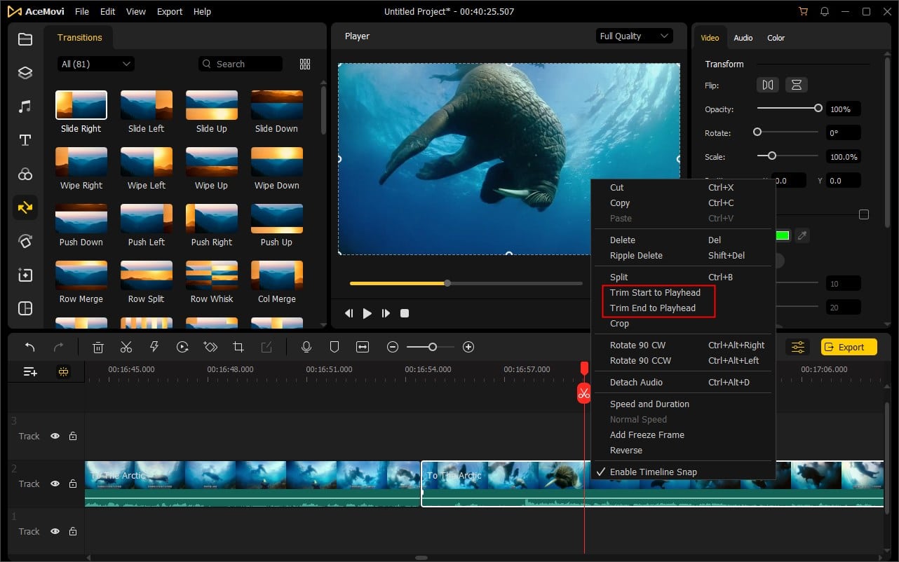 Tuneskit Acemovi Video Editor Crack
