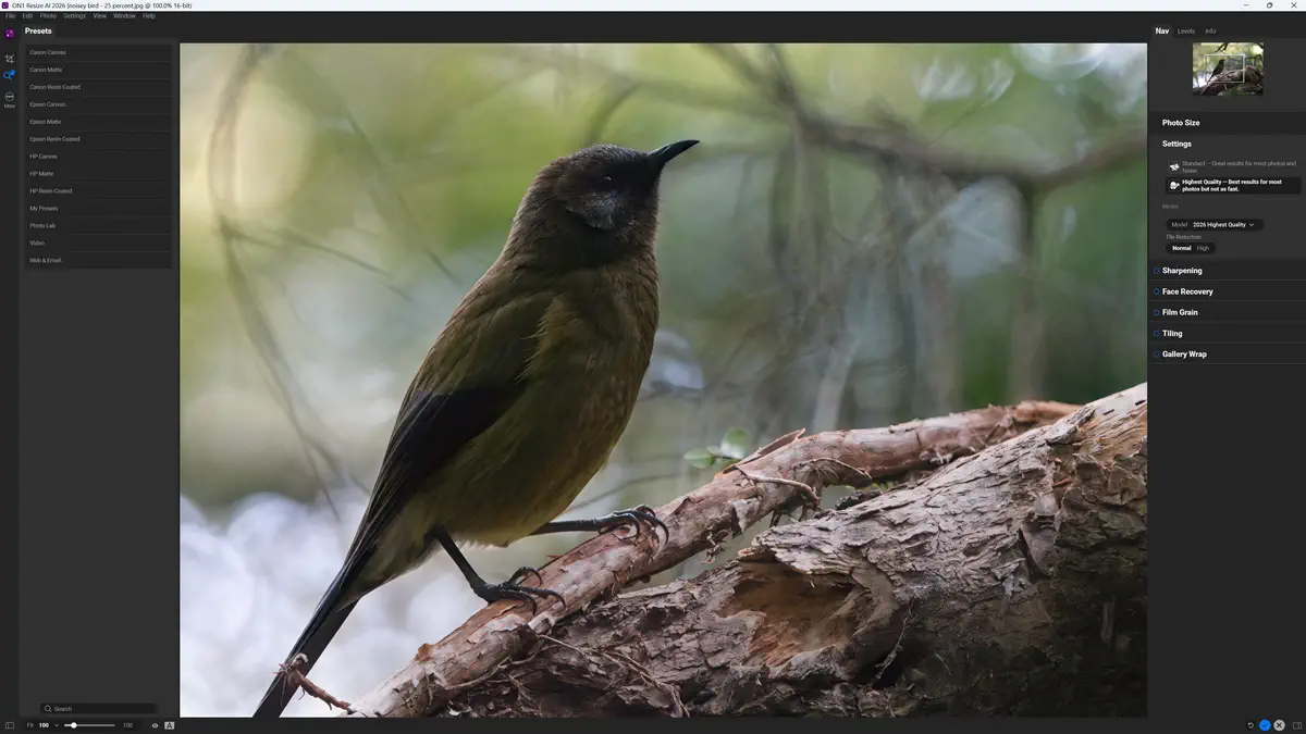 On1 Resize Ai 2026 Free Download