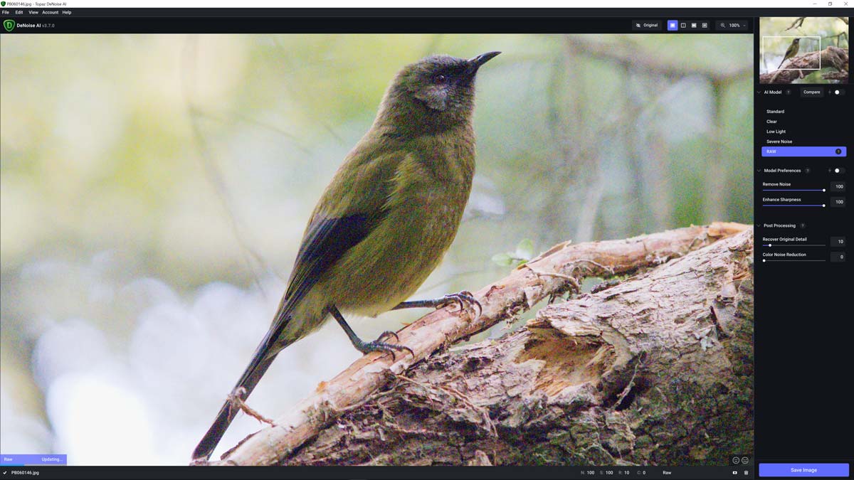 Topaz DeNoise AI Free Download