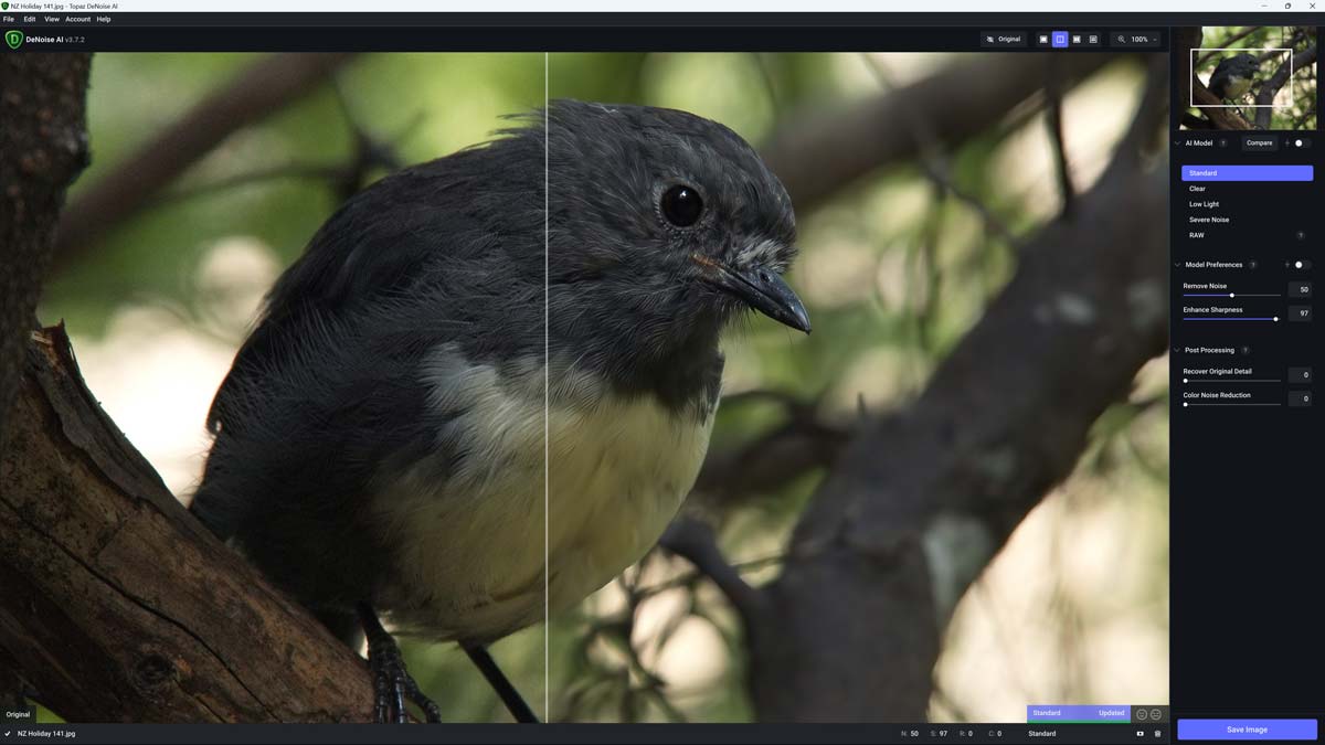 Topaz DeNoise AI Free Download