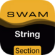 Audio Modeling SWAM String Sections v1.4.0 for Windows Audio Modeling SWAM String Sections Free Download