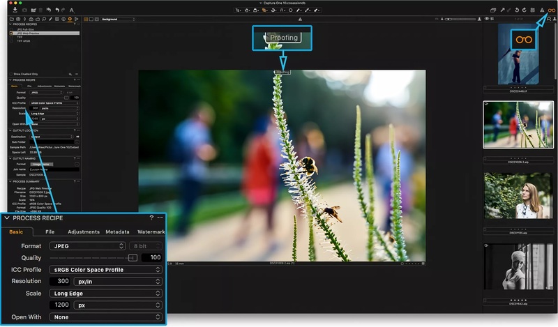Capture One Pro Enterprise 16.5 Window Free Download Capture One Pro Enterprise Free Download