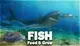 Feed And Grow Fish Download Full Game PC