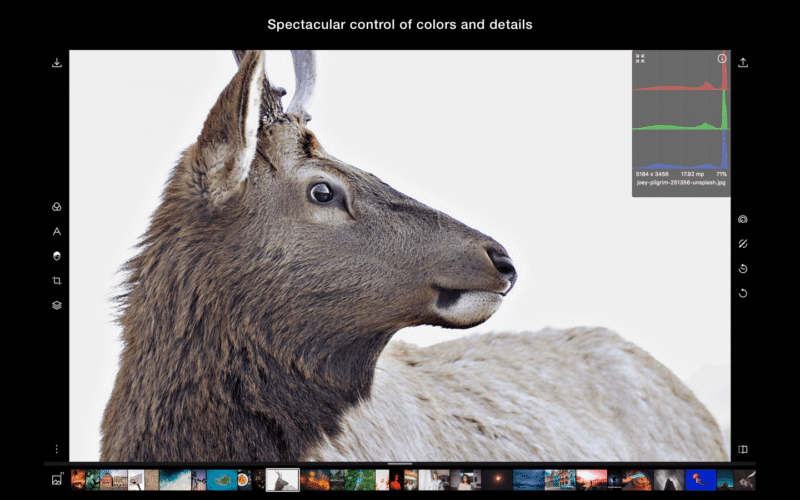 Polarr Photo Editor Pro Crack Polarr Photo Editor Pro Crack