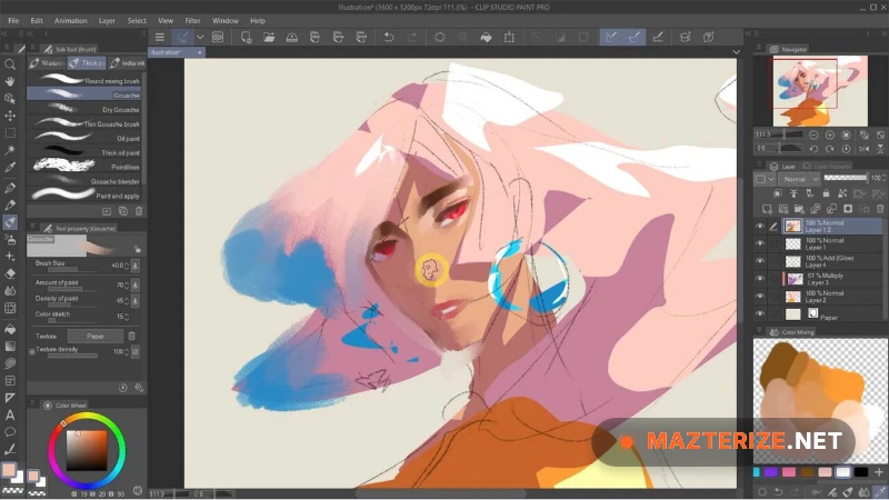 Clip Studio Paint EX ScreenShot