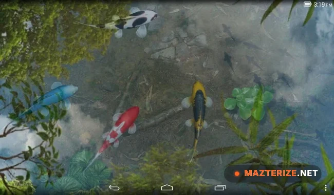 Water Garden Live Wallpaper v2.05 Water Garden Live Wallpaper v2.05